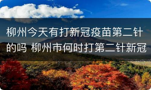 柳州今天有打新冠疫苗第二针的吗 柳州市何时打第二针新冠疫苗