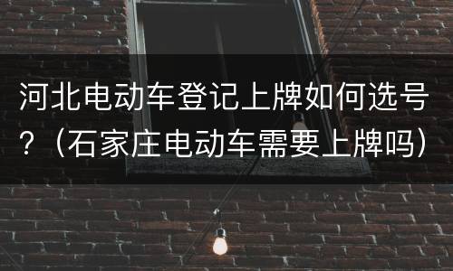 河北电动车登记上牌如何选号?（石家庄电动车需要上牌吗）