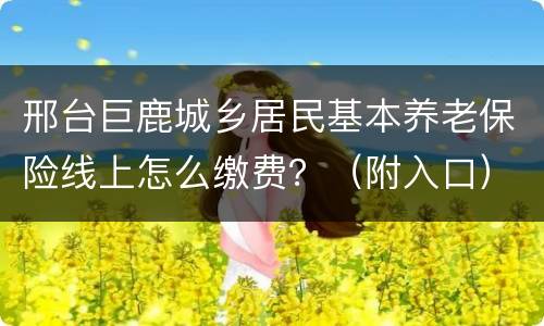 邢台巨鹿城乡居民基本养老保险线上怎么缴费？（附入口）