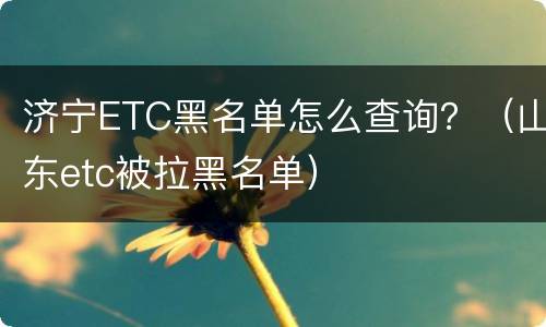 济宁ETC黑名单怎么查询？（山东etc被拉黑名单）