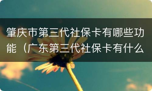 肇庆市第三代社保卡有哪些功能（广东第三代社保卡有什么新功能）