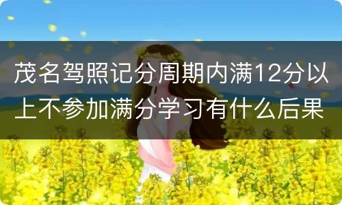 茂名驾照记分周期内满12分以上不参加满分学习有什么后果？