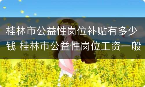 桂林市公益性岗位补贴有多少钱 桂林市公益性岗位工资一般有多少钱