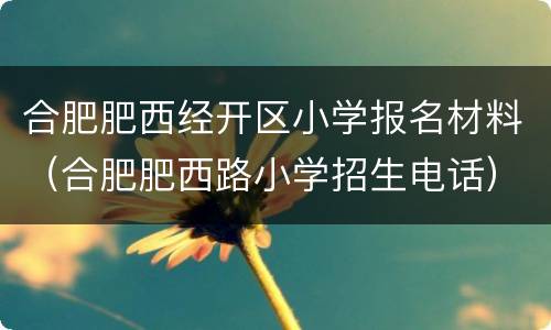 合肥肥西经开区小学报名材料（合肥肥西路小学招生电话）