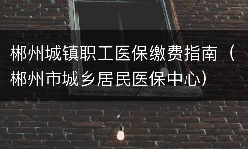 郴州城镇职工医保缴费指南（郴州市城乡居民医保中心）