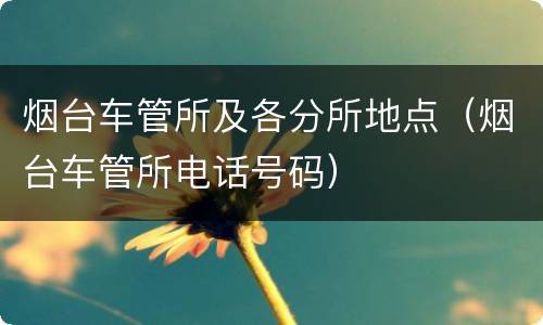 烟台车管所及各分所地点（烟台车管所电话号码）