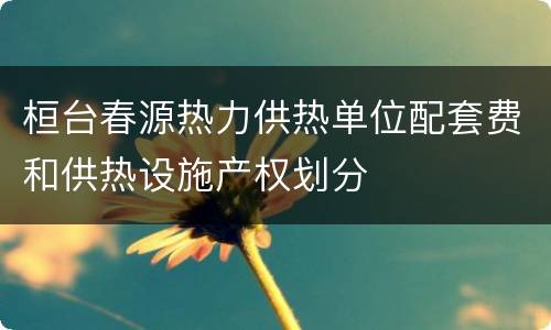 桓台春源热力供热单位配套费和供热设施产权划分
