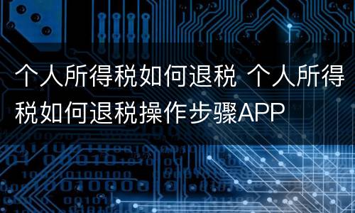 个人所得税如何退税 个人所得税如何退税操作步骤APP