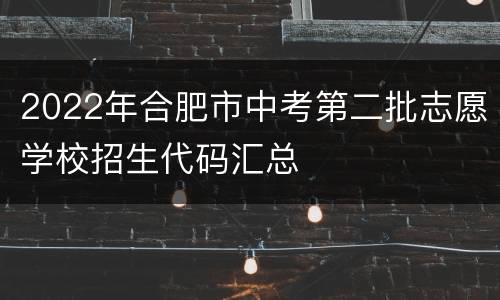 2022年合肥市中考第二批志愿学校招生代码汇总