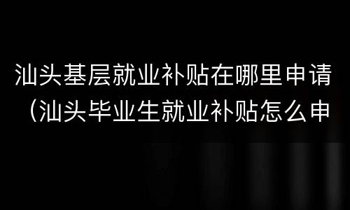 汕头基层就业补贴在哪里申请（汕头毕业生就业补贴怎么申请）