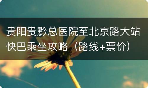 贵阳贵黔总医院至北京路大站快巴乘坐攻略（路线+票价）