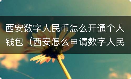 西安数字人民币怎么开通个人钱包（西安怎么申请数字人民币）