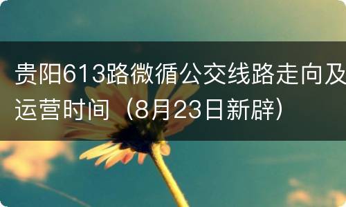 贵阳613路微循公交线路走向及运营时间（8月23日新辟）