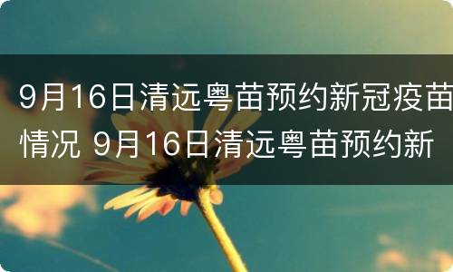 9月16日清远粤苗预约新冠疫苗情况 9月16日清远粤苗预约新冠疫苗情况如何
