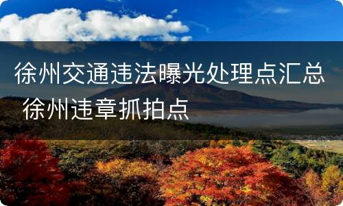 徐州交通违法曝光处理点汇总 徐州违章抓拍点