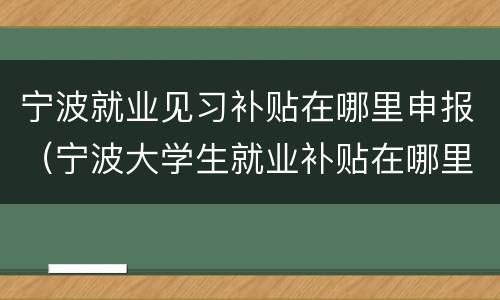 宁波就业见习补贴在哪里申报（宁波大学生就业补贴在哪里申请）