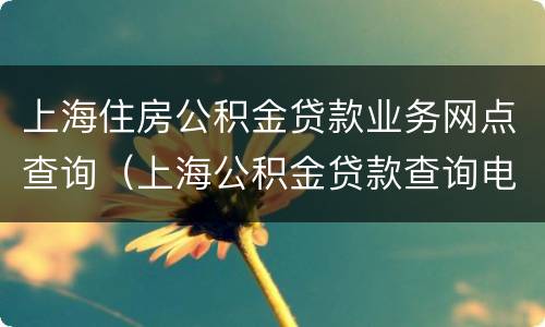 上海住房公积金贷款业务网点查询（上海公积金贷款查询电话）