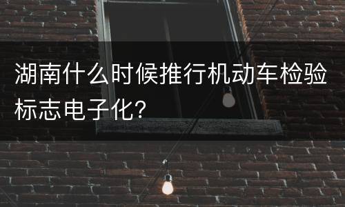 湖南什么时候推行机动车检验标志电子化？