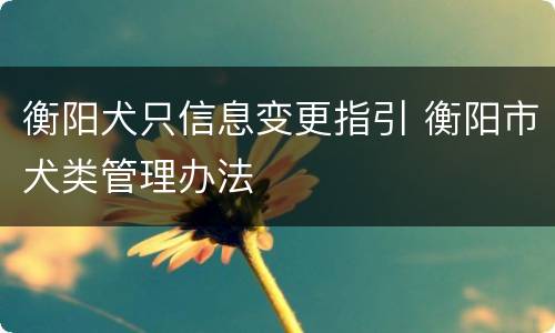 衡阳犬只信息变更指引 衡阳市犬类管理办法