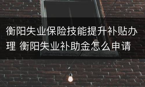衡阳失业保险技能提升补贴办理 衡阳失业补助金怎么申请