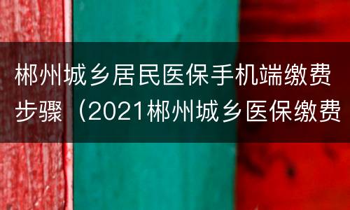 郴州城乡居民医保手机端缴费步骤（2021郴州城乡医保缴费方式）