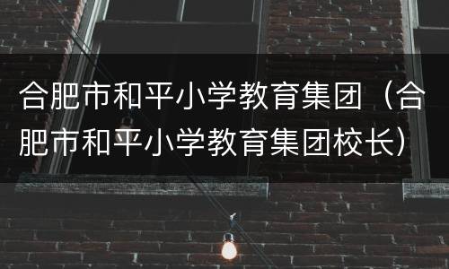 合肥市和平小学教育集团（合肥市和平小学教育集团校长）