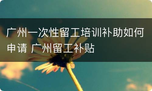 广州一次性留工培训补助如何申请 广州留工补贴