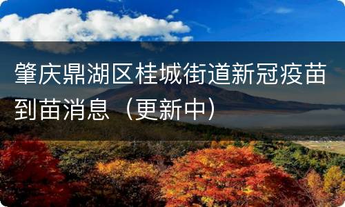 肇庆鼎湖区桂城街道新冠疫苗到苗消息（更新中）
