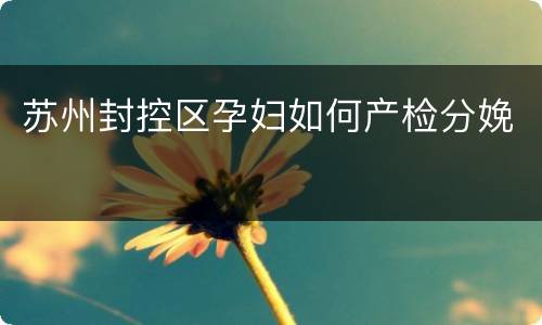 苏州封控区孕妇如何产检分娩