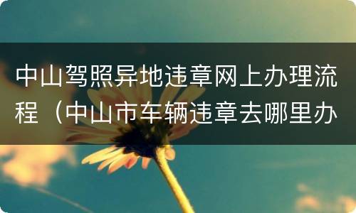 中山驾照异地违章网上办理流程（中山市车辆违章去哪里办理）