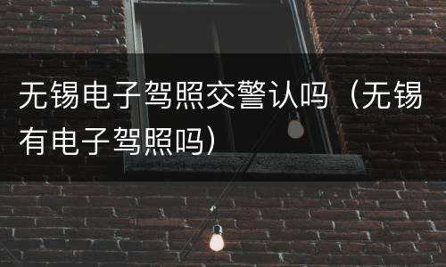 无锡电子驾照交警认吗（无锡有电子驾照吗）