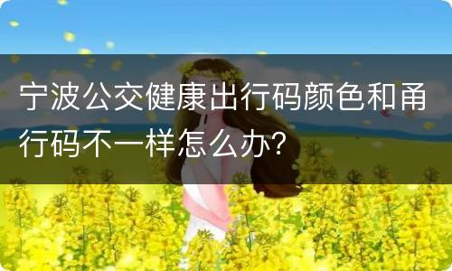 宁波公交健康出行码颜色和甬行码不一样怎么办？