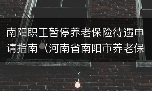 南阳职工暂停养老保险待遇申请指南（河南省南阳市养老保险补缴政策）
