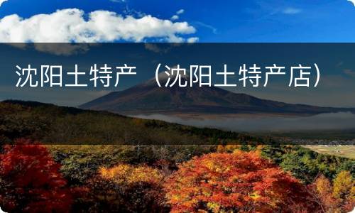 沈阳土特产（沈阳土特产店）
