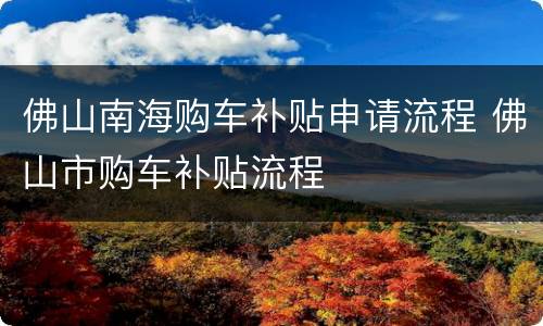 佛山南海购车补贴申请流程 佛山市购车补贴流程