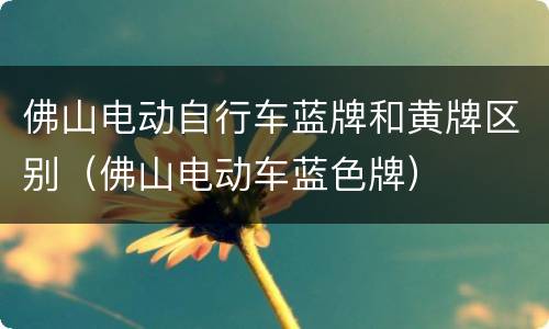 佛山电动自行车蓝牌和黄牌区别（佛山电动车蓝色牌）