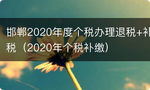 邯郸2020年度个税办理退税+补税（2020年个税补缴）