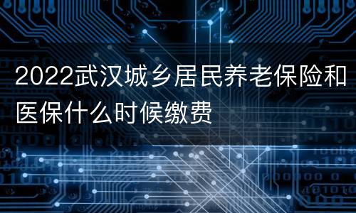 2022武汉城乡居民养老保险和医保什么时候缴费