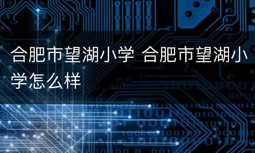 合肥市望湖小学 合肥市望湖小学怎么样