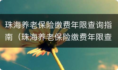 珠海养老保险缴费年限查询指南（珠海养老保险缴费年限查询指南电子版）
