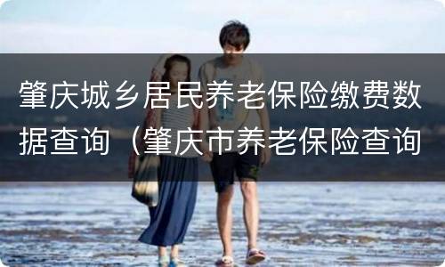 肇庆城乡居民养老保险缴费数据查询（肇庆市养老保险查询）