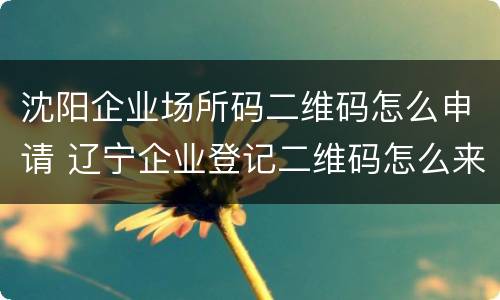 沈阳企业场所码二维码怎么申请 辽宁企业登记二维码怎么来的