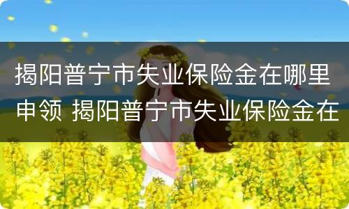 揭阳普宁市失业保险金在哪里申领 揭阳普宁市失业保险金在哪里申领呢