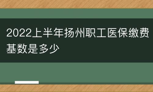 2022上半年扬州职工医保缴费基数是多少