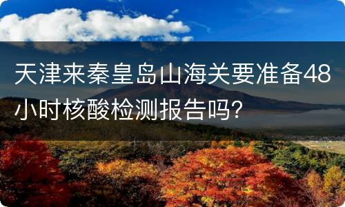 天津来秦皇岛山海关要准备48小时核酸检测报告吗？