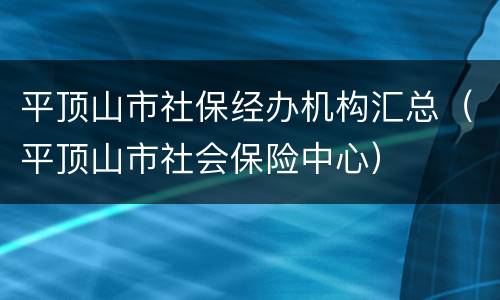 平顶山市社保经办机构汇总（平顶山市社会保险中心）