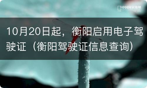 10月20日起，衡阳启用电子驾驶证（衡阳驾驶证信息查询）