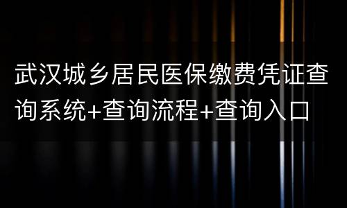 武汉城乡居民医保缴费凭证查询系统+查询流程+查询入口