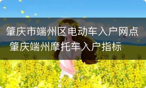 肇庆市端州区电动车入户网点 肇庆端州摩托车入户指标
