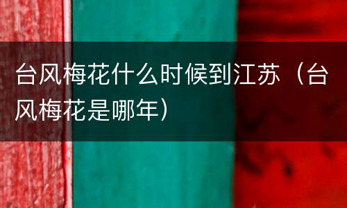 台风梅花什么时候到江苏（台风梅花是哪年）